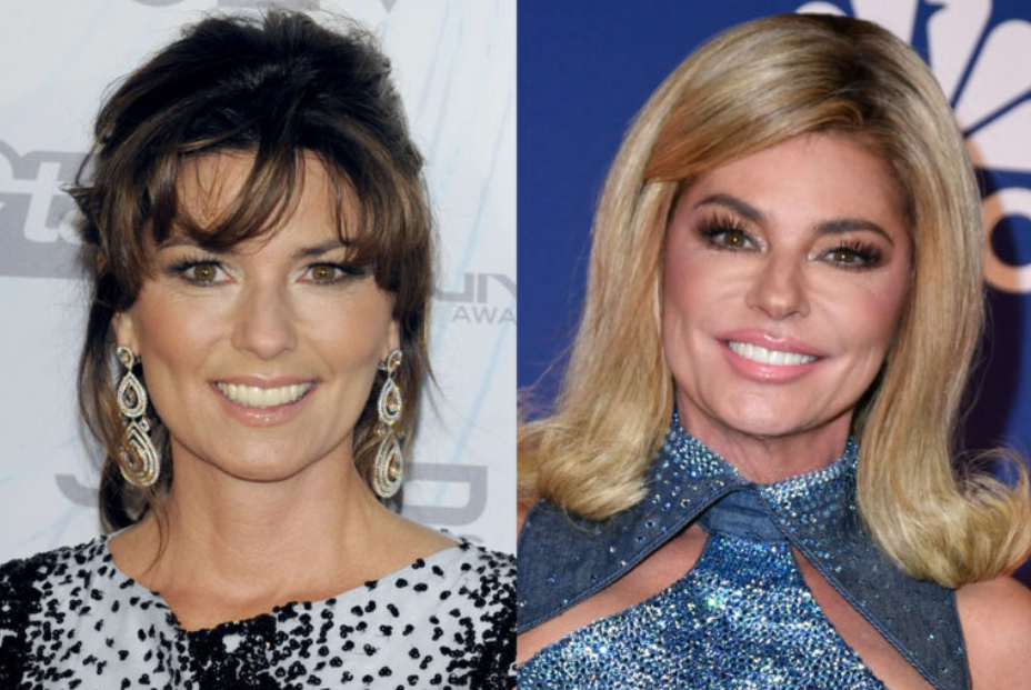 Shania Twain's 'Unrecognizable' New Look -- Celeb Plastic Surgeons Say…